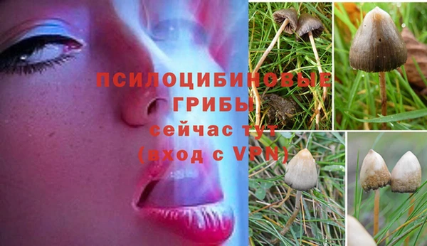 не бодяженный Михайлов