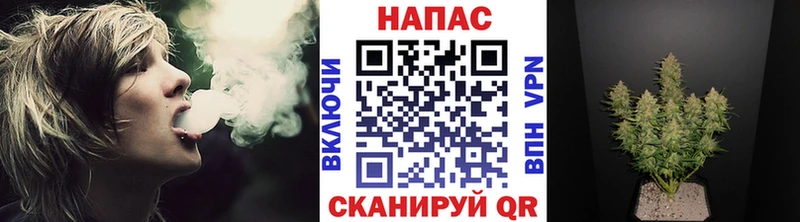 Купить где  Чернушка  Конопля Amnesia 